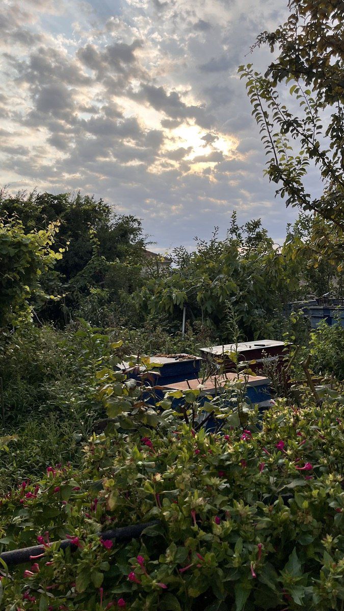 İcarəyə verilir 3 otaqlı həyət evi/bağ evi 71 m² — Ev, villa, Bakı (10)