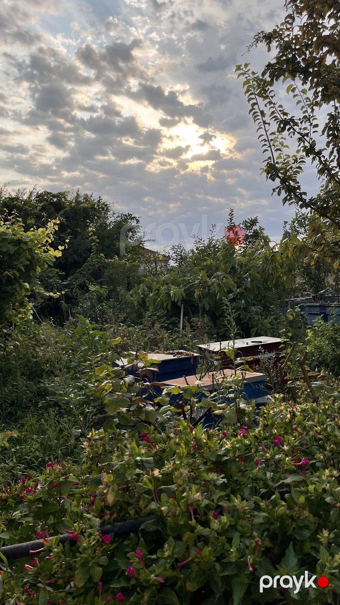 İcarəyə verilir 3 otaqlı həyət evi/bağ evi 71 m² — Ev, villa, Bakı (10)