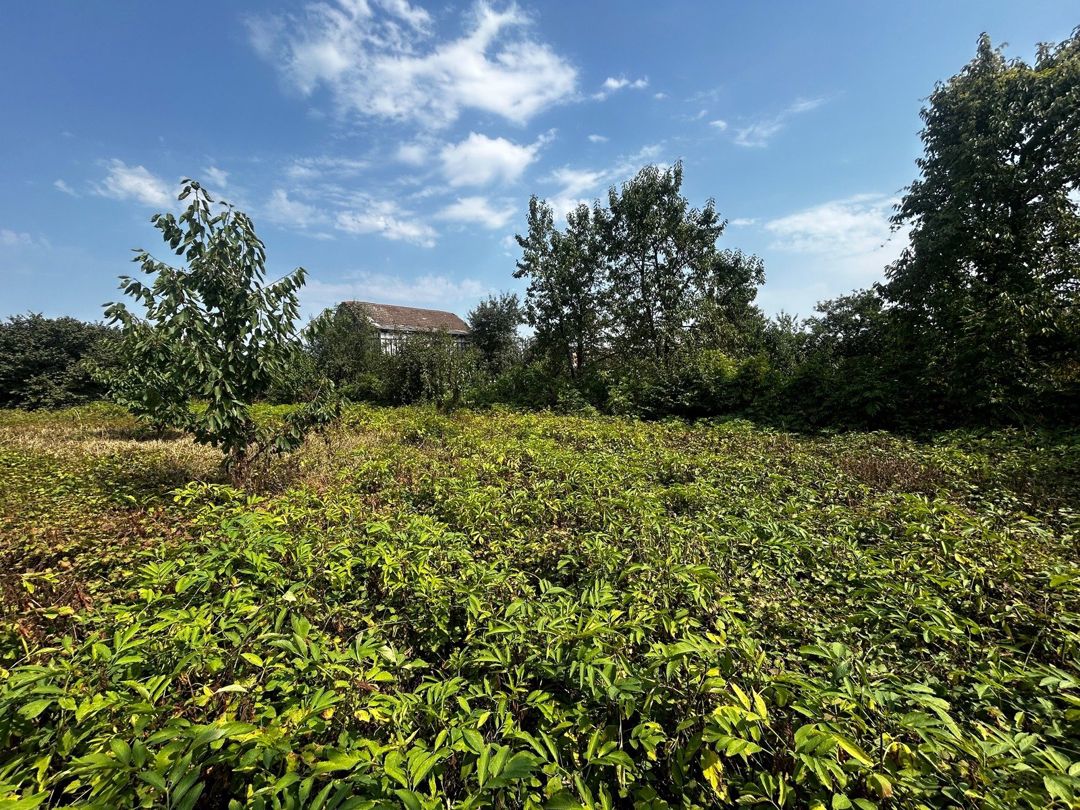 Satılır 5 otaqlı həyət evi/bağ evi 83.6 m² — Ev, villa, Quba (10)