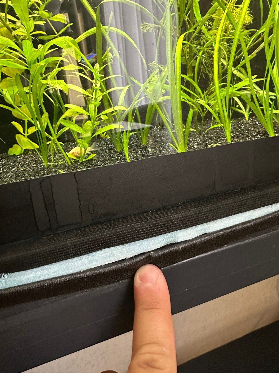 Akvarium — Akvariumlar və balıqlar, Bakı (7)