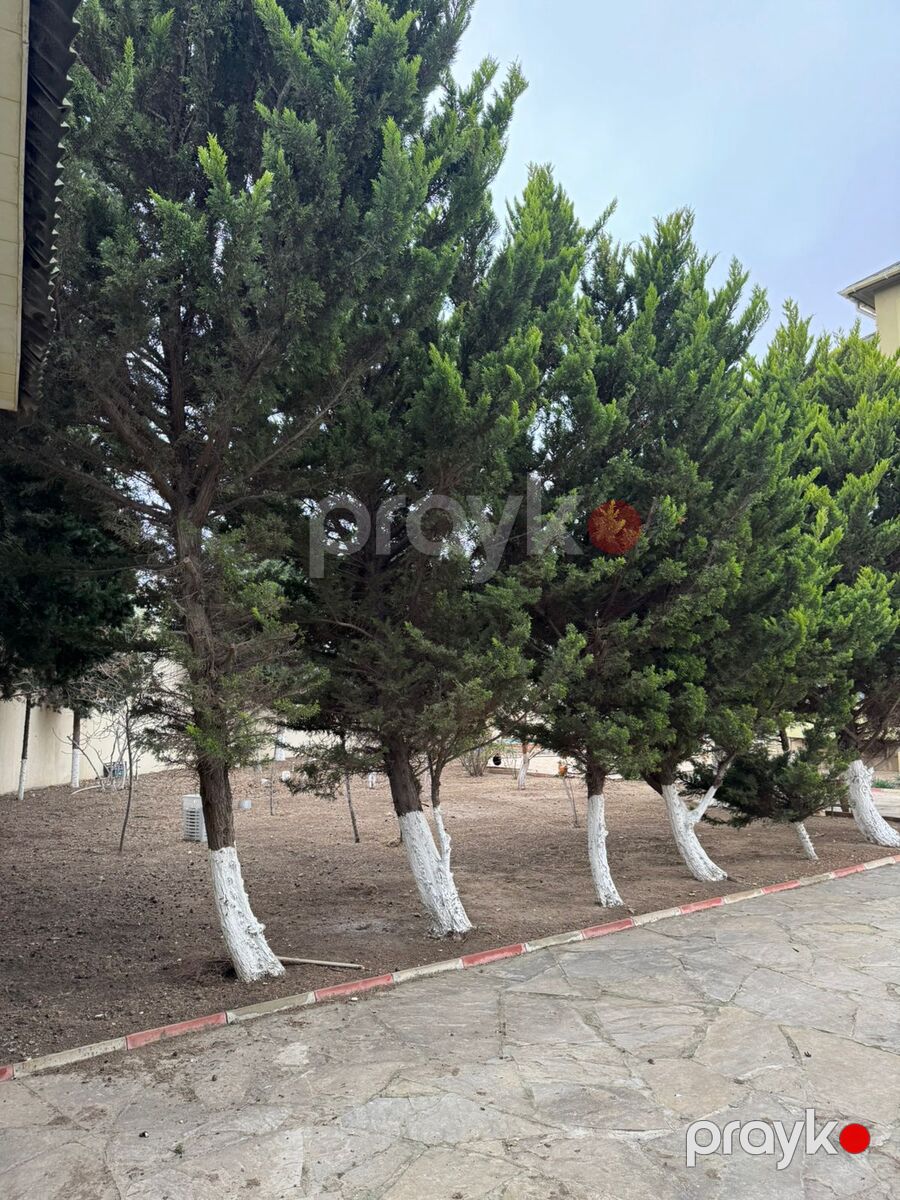İcarəyə verilir 5 otaqlı həyət evi/bağ evi 450 m² — Ev, villa, Bakı (8)