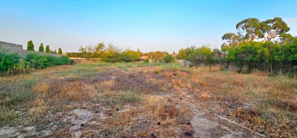 Satılır torpaq 25 sot — Torpaq, Bakı (8)