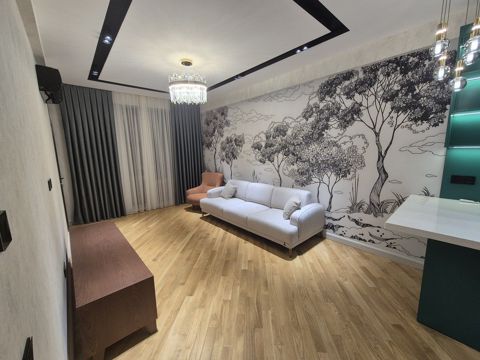 İcarəyə verilir 2 otaqlı yeni tikili 68 m² — Bakı