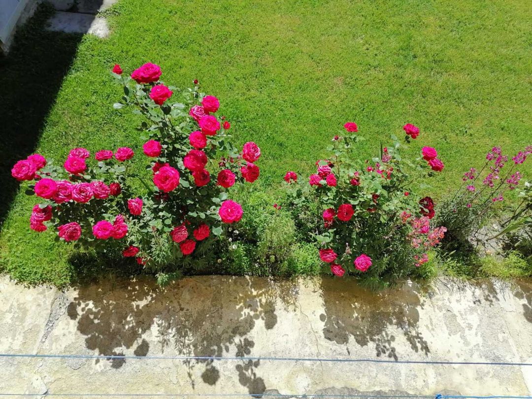 İcarəyə verilir 2 otaqlı həyət evi/bağ evi 85 m² — Ev, villa, Qəbələ (4)