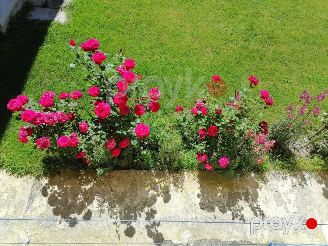 İcarəyə verilir 2 otaqlı həyət evi/bağ evi 85 m² — Ev, villa, Qəbələ (4)