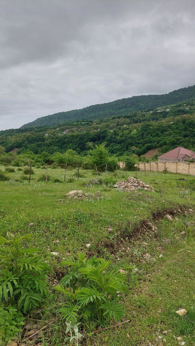 5 sot torpaq sahəsi, Qımıl k — Torpaq, Quba (4)