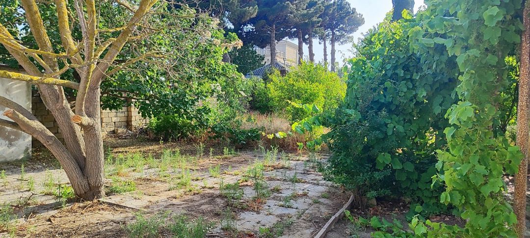 Satılır 5 otaqlı həyət evi/bağ evi 400 m² — Ev, villa, Bakı (7)