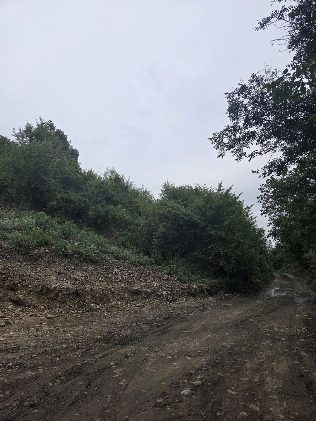 Satılır torpaq 8 sot — Torpaq, Qusar (2)