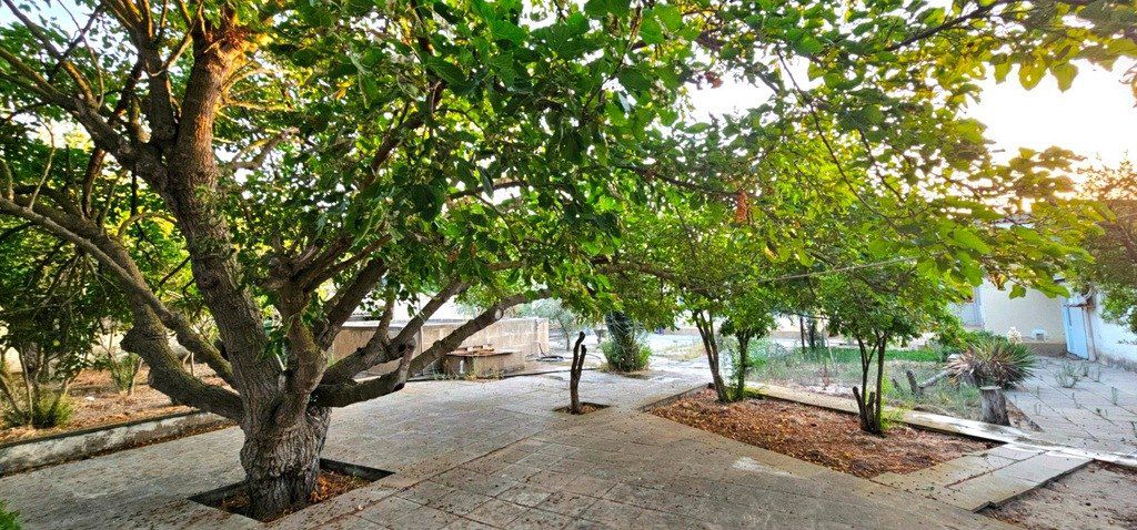 Satılır torpaq 25 sot — Torpaq, Bakı (6)
