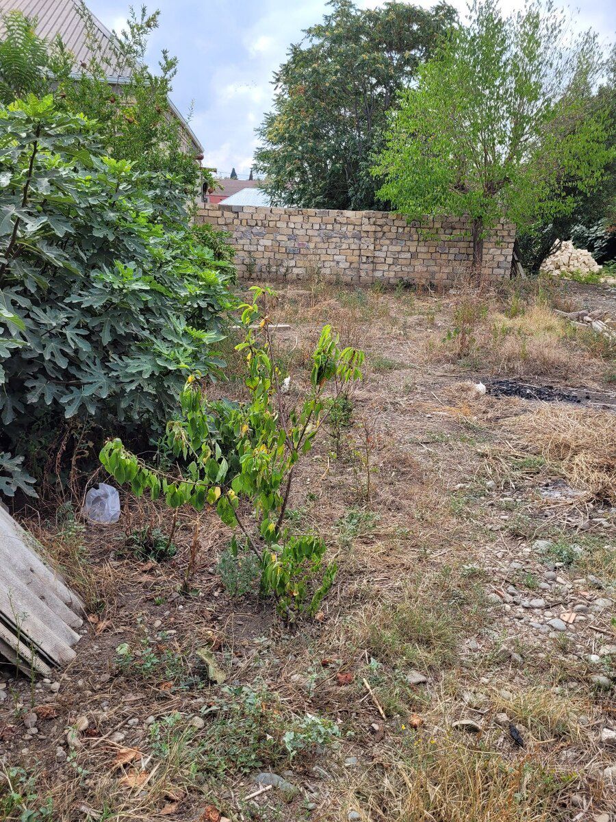 Həyət evi, Gəncə ş — Ev, villa, Gəncə (6)