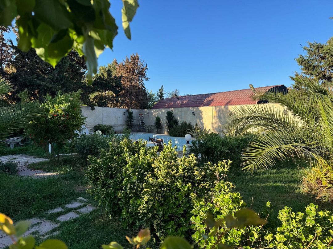 Satılır torpaq 14 sot — Torpaq, Bakı (2)
