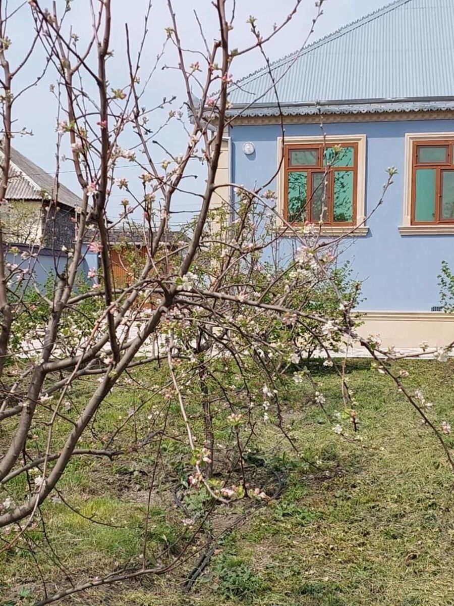 İcarəyə verilir 4 otaqlı həyət evi/bağ evi 140 m² — Ev, villa, Qəbələ (4)