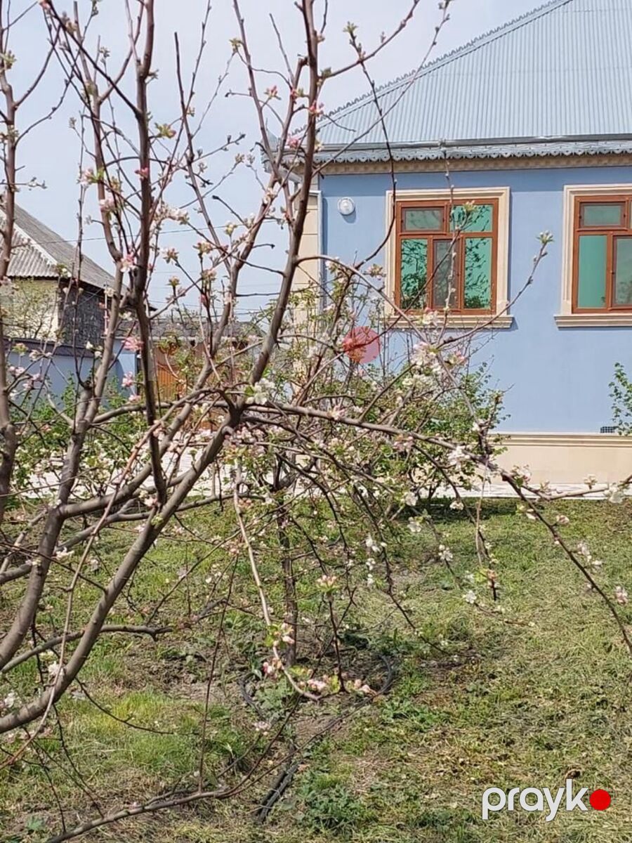 İcarəyə verilir 4 otaqlı həyət evi/bağ evi 140 m² — Ev, villa, Qəbələ (4)