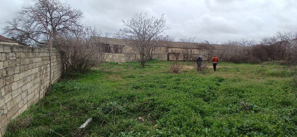 Satılır torpaq 30 sot — Torpaq, Bakı (3)