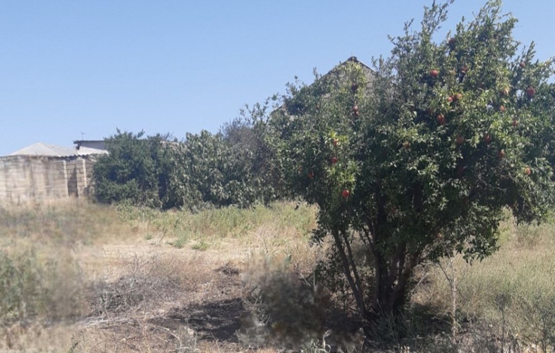 Satılır torpaq 10 sot — Torpaq, Xırdalan (6)