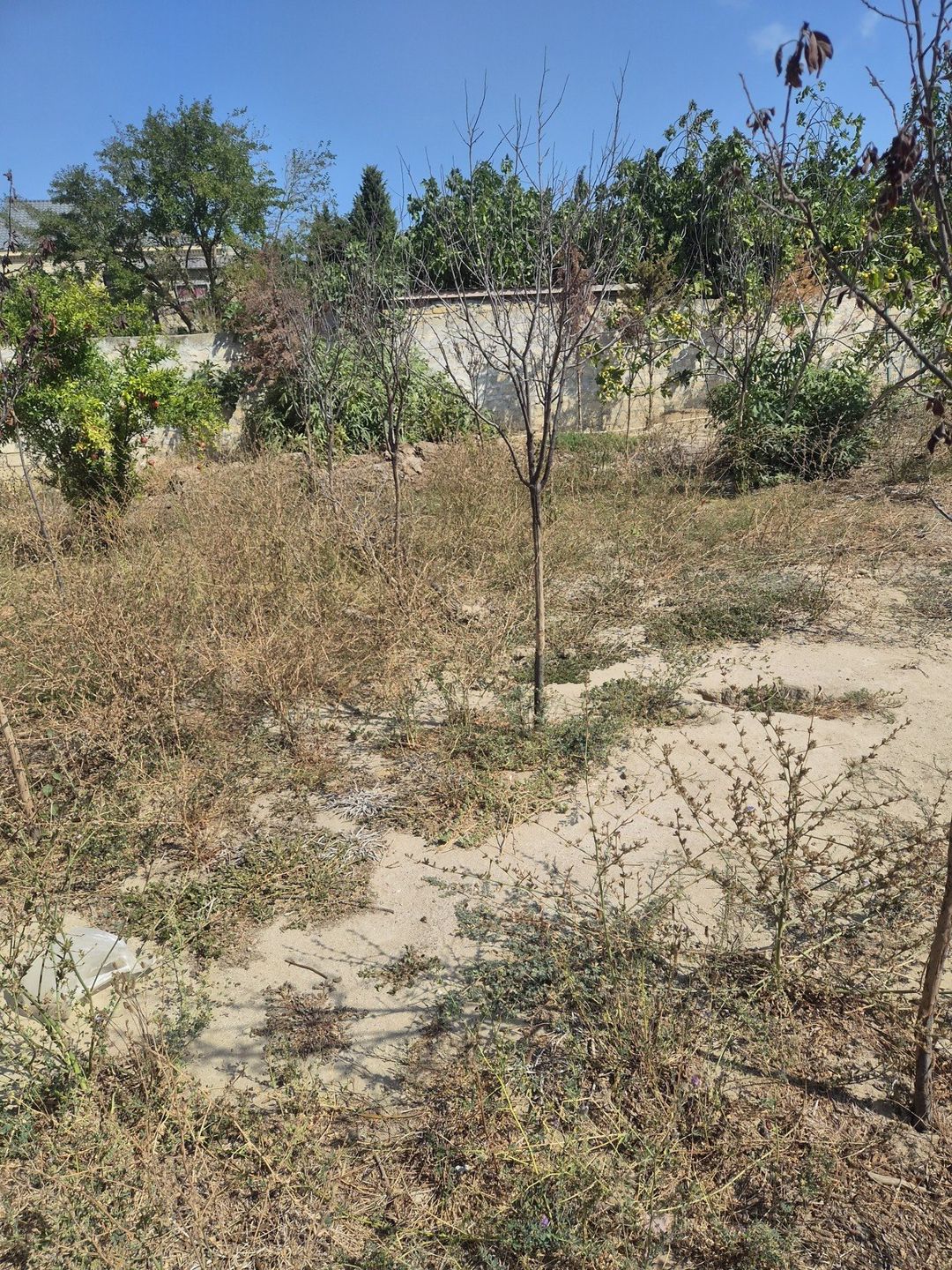 Satılır torpaq 3 sot — Torpaq, Bakı (4)