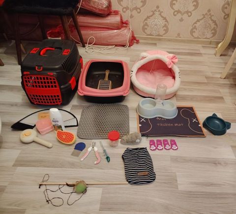 GK Hamsı birlikdə satılır qiymət 70 manat Ünvan masazır K7816 — Saray