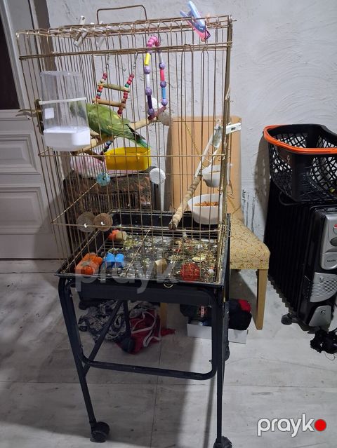 Quş qəfəsi və dayaq stendi - Material: metal barmaqlıqlar, möhkəm — Masazır