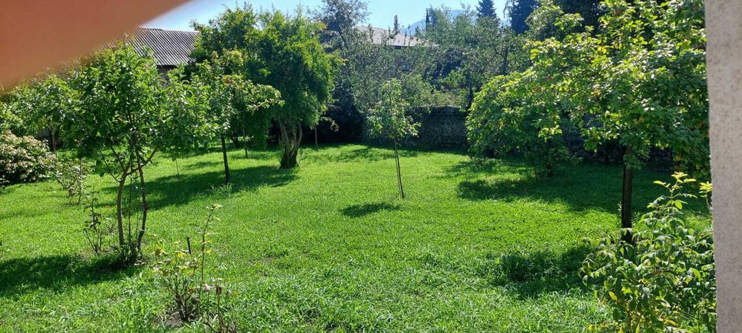 Satılır torpaq 14 sot — Torpaq, Zaqatala (4)
