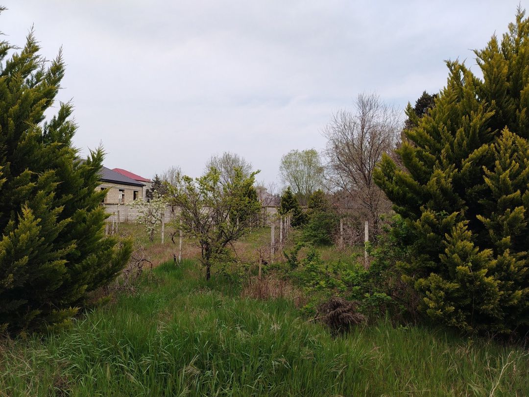 Satılır torpaq 15 sot — Torpaq, Bakı (5)