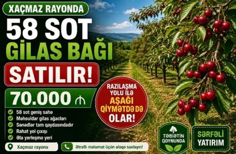 58 sot, Kənd təsərrüfatı — Xaçmaz