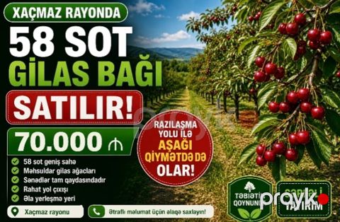 58 sot, Kənd təsərrüfatı