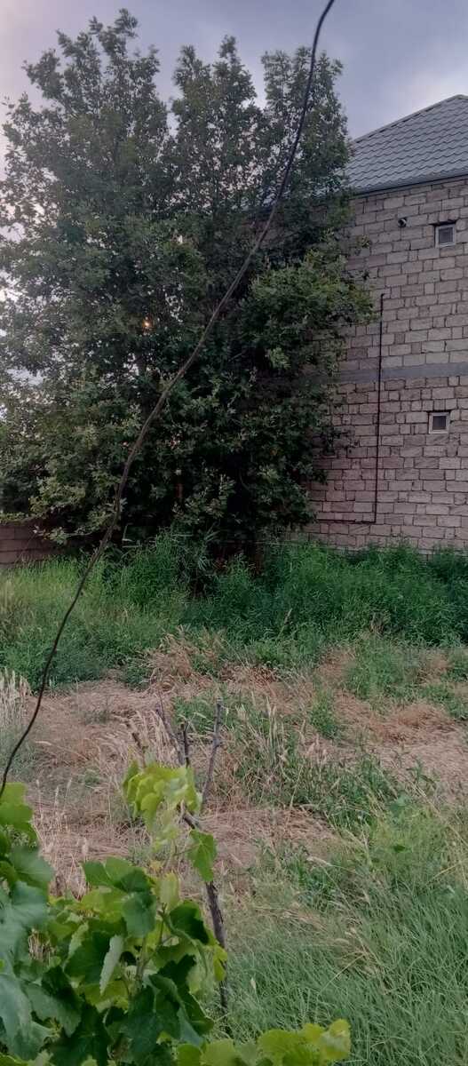 Satılır 5 otaqlı həyət evi/bağ evi 200 m² — Ev, villa, Bakı (12)