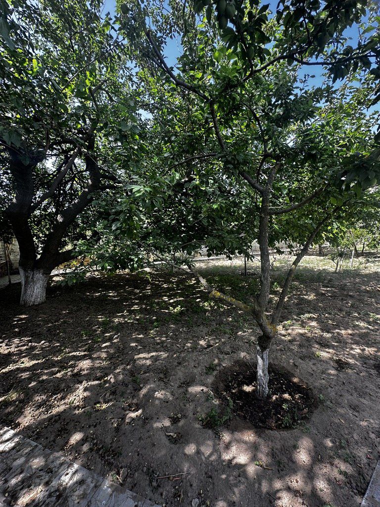 Satılır 4 otaqlı həyət evi/bağ evi 130 m² — Ev, villa, Bakı (4)