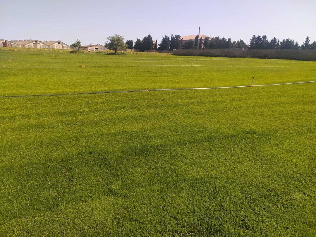 Satılır torpaq 400 sot — Torpaq, Bakı (6)