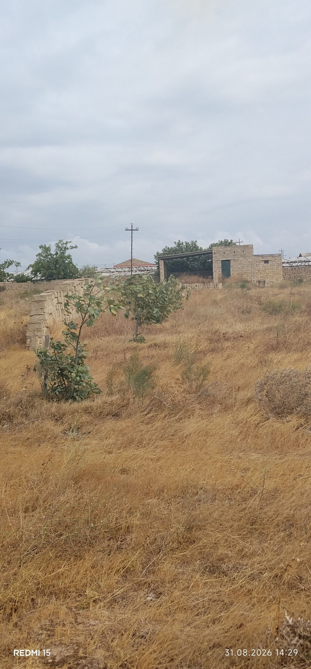 20 sot, Tikinti, Bələdiyyə — Torpaq, Bakı (9)