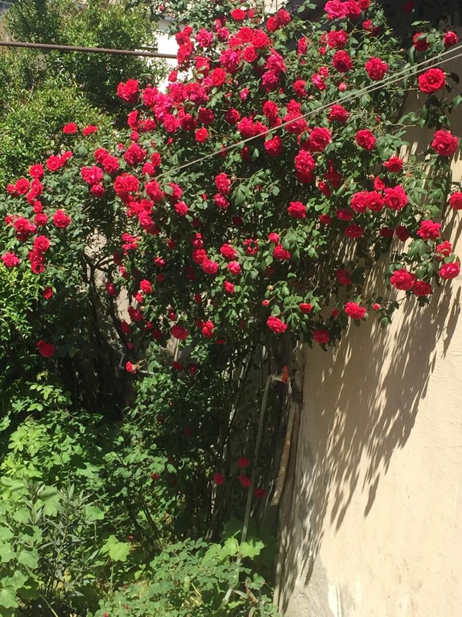 Satılır 4 otaqlı həyət evi/bağ evi 120 m² — Ev, villa, Xırdalan (12)