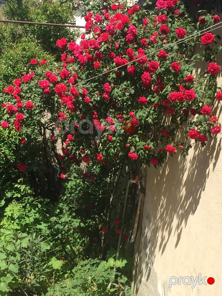 Satılır 4 otaqlı həyət evi/bağ evi 120 m² — Ev, villa, Xırdalan (12)