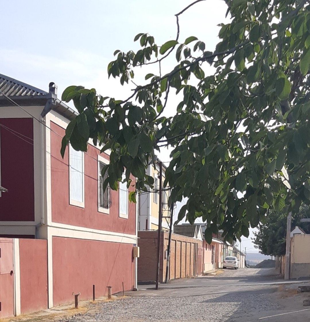 Satılır torpaq 10 sot — Torpaq, Xırdalan
