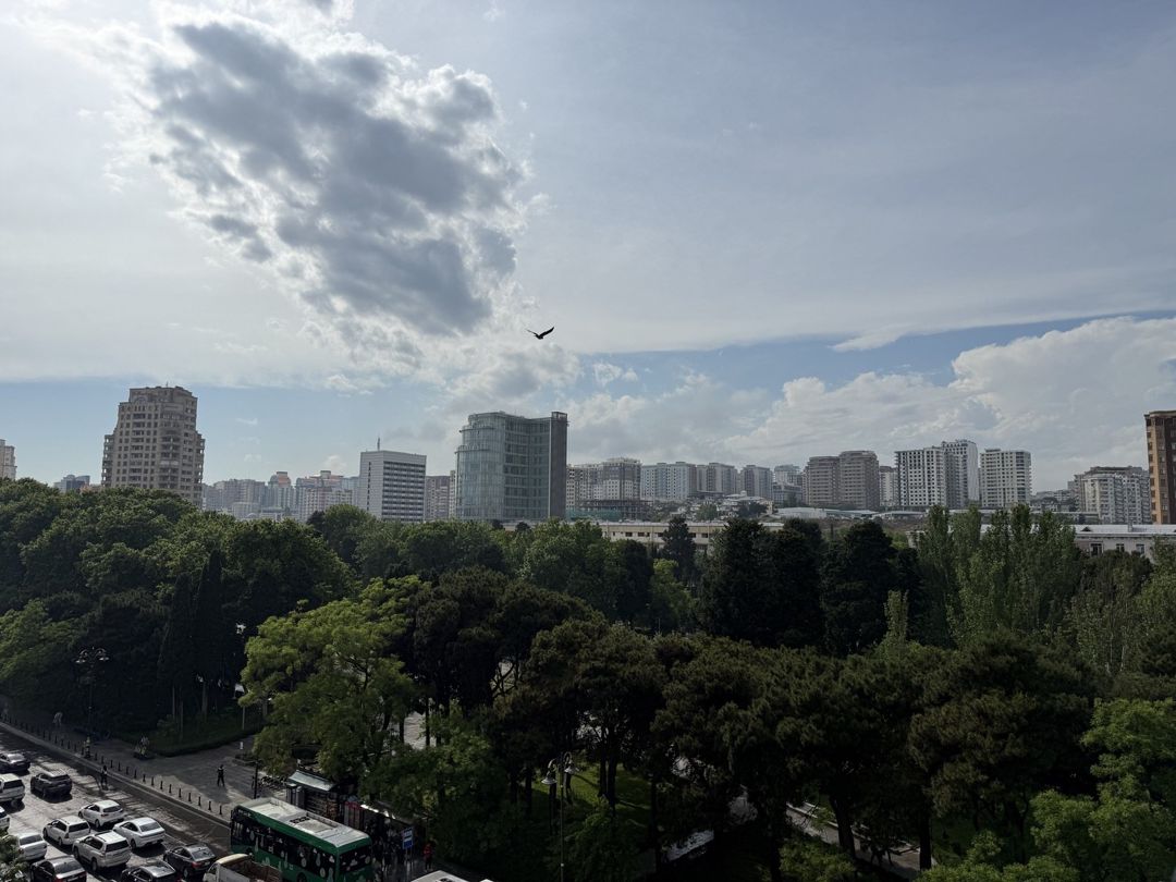 Satılır 4 otaqlı yeni tikili 240 m² — Mənzil, Bakı (8)