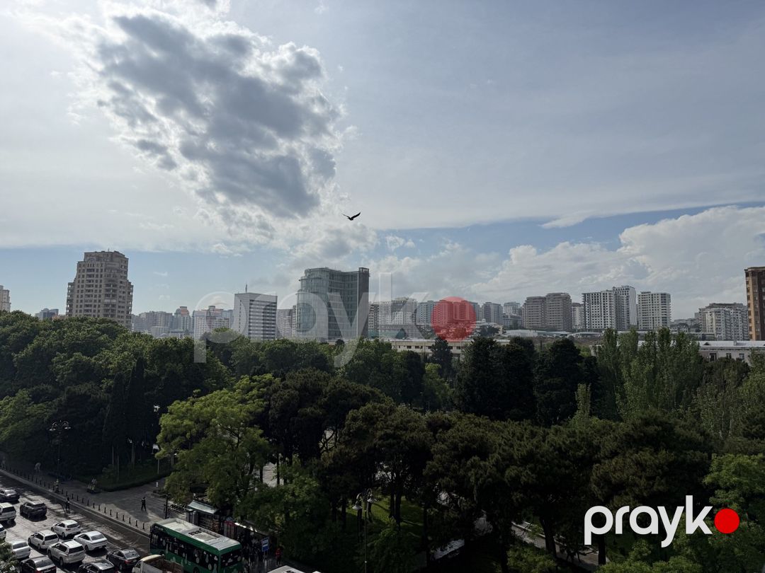 Satılır 4 otaqlı yeni tikili 240 m² — Mənzil, Bakı (8)