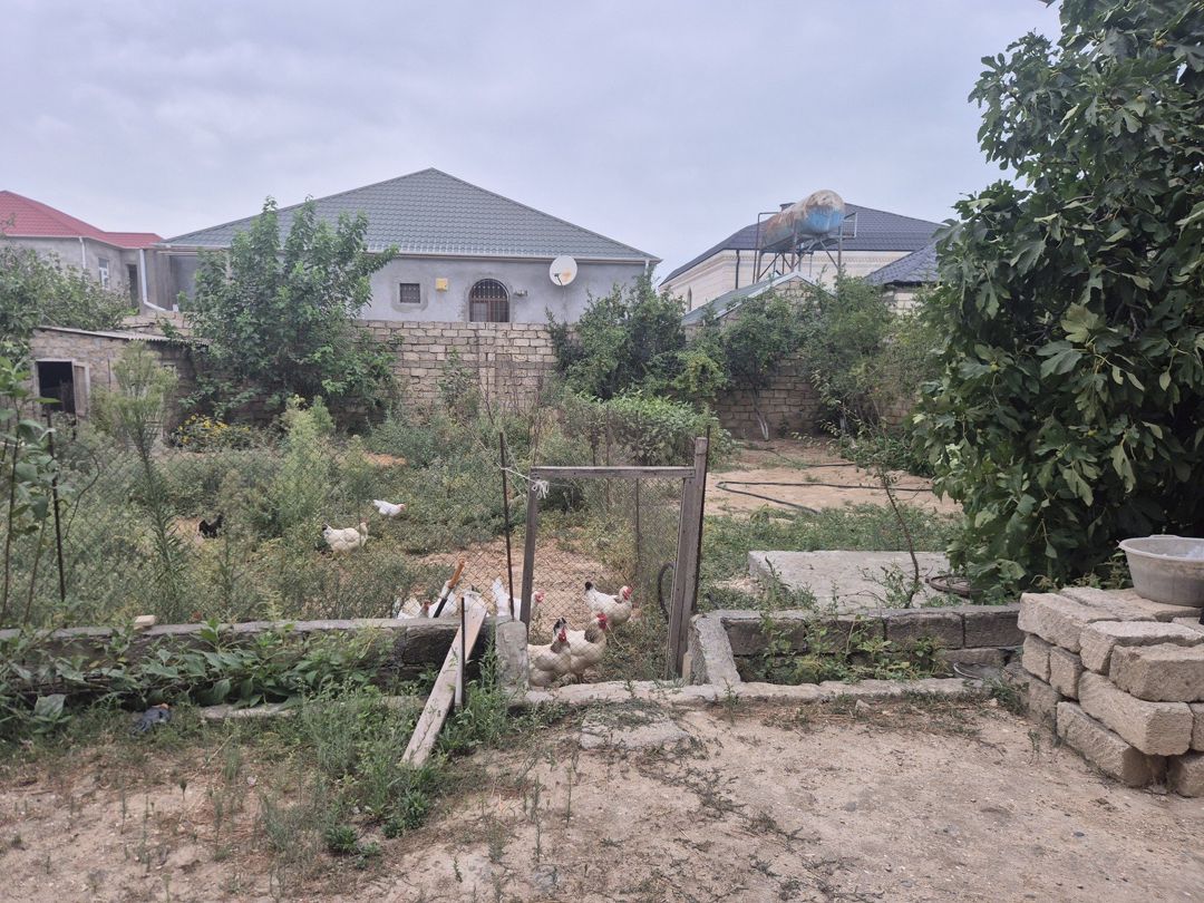 Satılır torpaq 8 sot — Torpaq, Bakı (4)