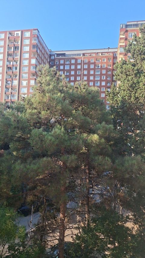 Satılır 2 otaqlı köhnə tikili 50 m² — Bakı