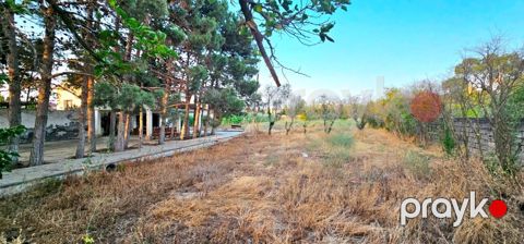 Satılır torpaq 25 sot