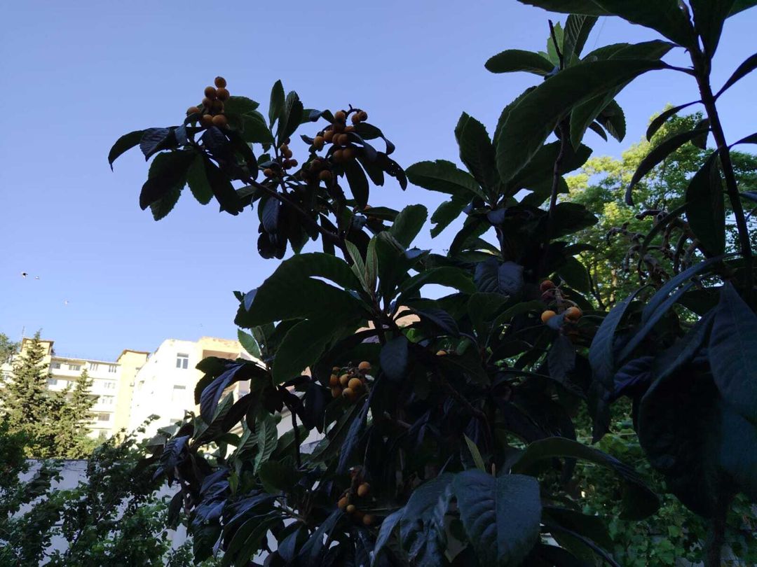 Satılır 3 otaqlı köhnə tikili 70 m² — Mənzil, Bakı (4)