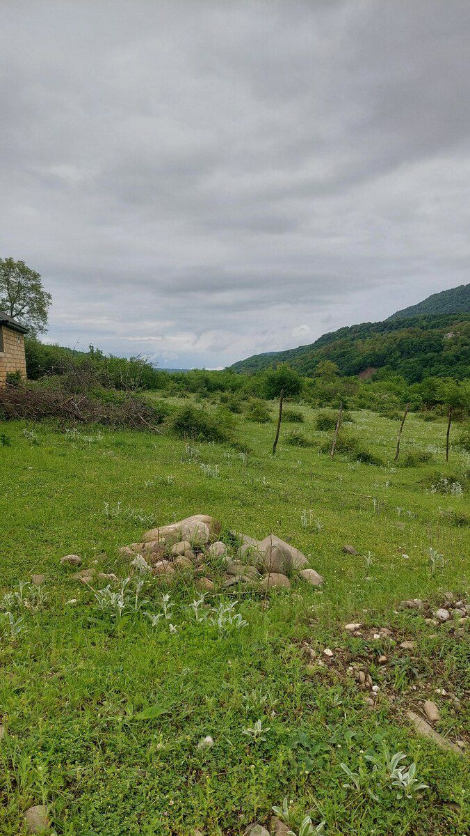 5 sot torpaq sahəsi, Qımıl k — Torpaq, Quba (5)