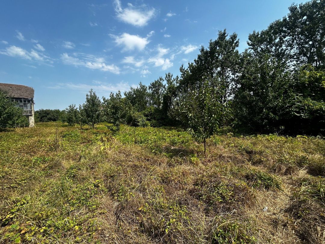 Satılır 5 otaqlı həyət evi/bağ evi 83.6 m² — Ev, villa, Quba (6)