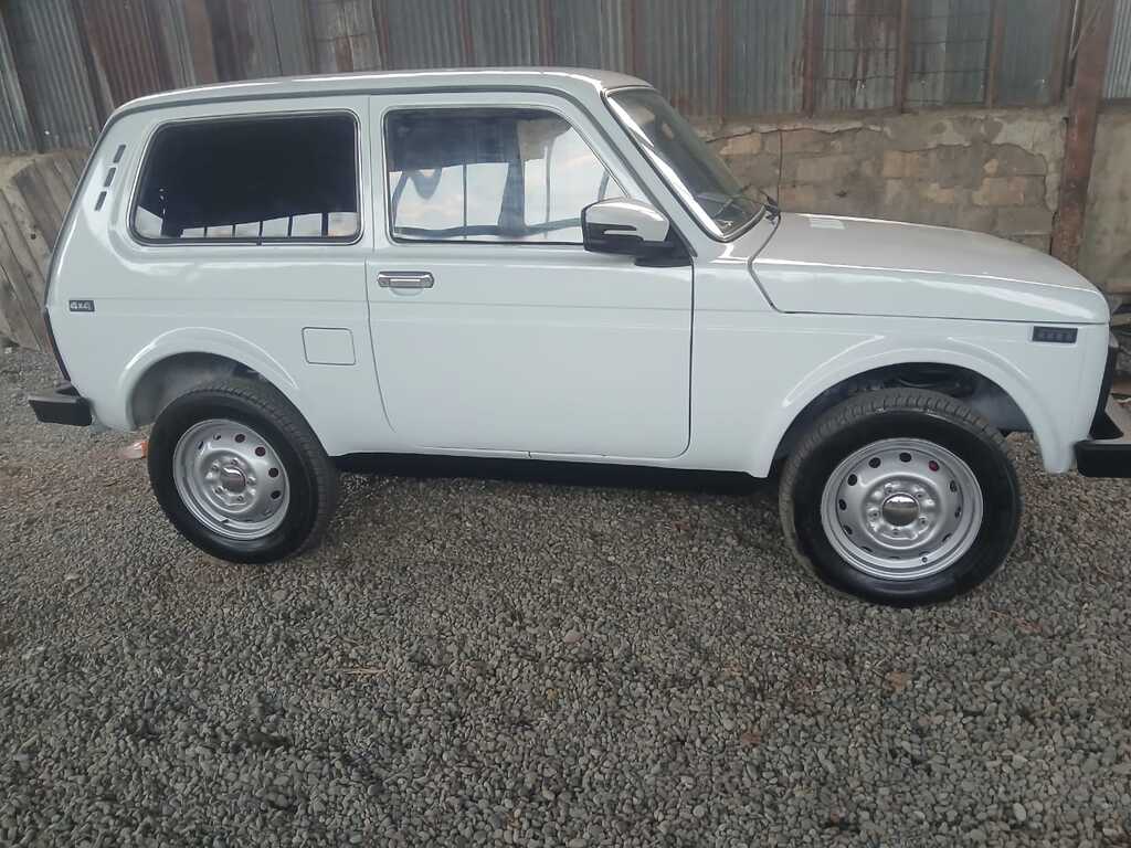 Lada (VAZ) Niva, 1.7 L, 2001 il, 76 453 km — Avtomobillər, Biləsuvar (2)