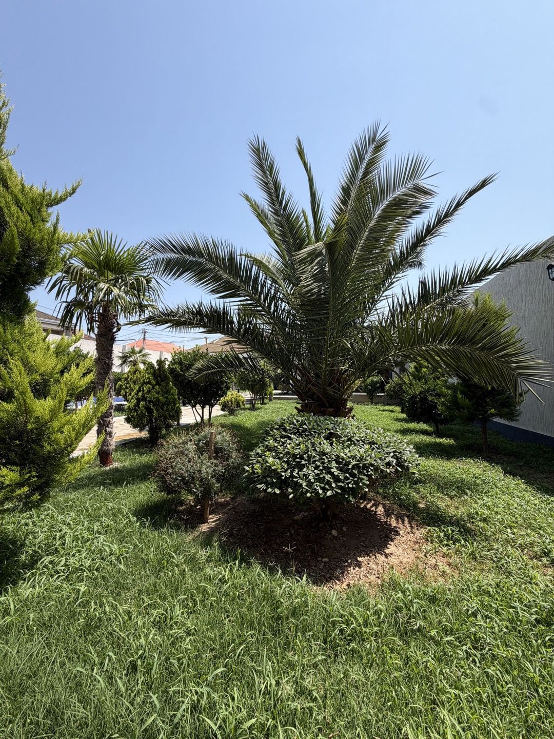 Satılır 5 otaqlı həyət evi/bağ evi 200 m² — Ev, villa, Bakı (2)