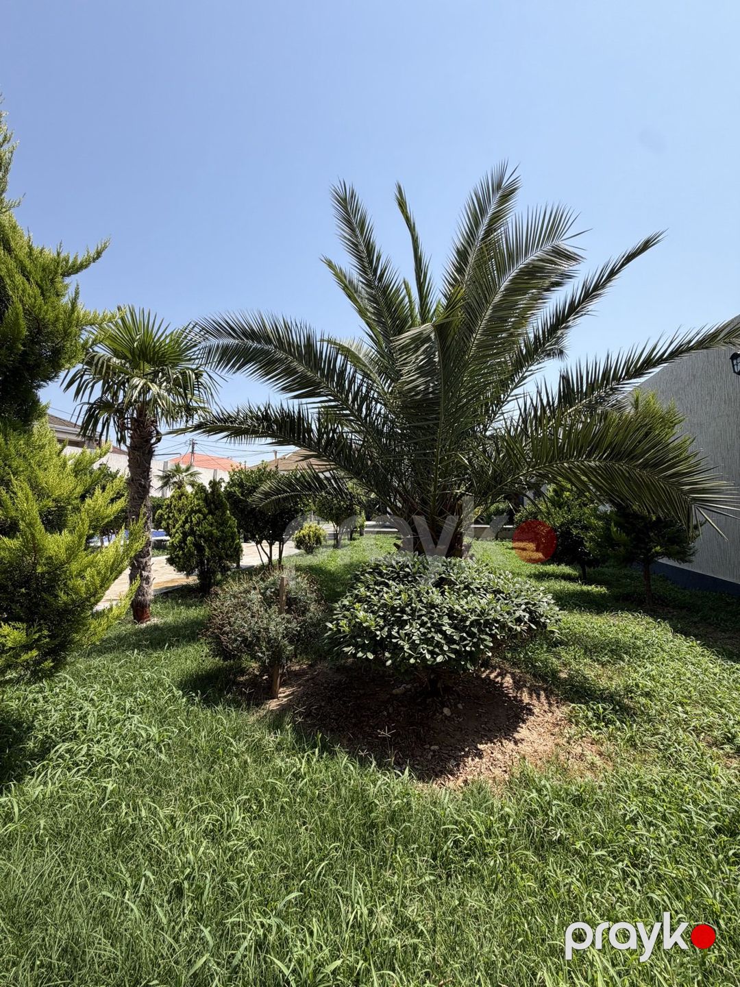 Satılır 5 otaqlı həyət evi/bağ evi 200 m² — Ev, villa, Bakı (2)