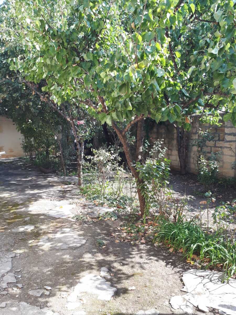 Satılır 2 otaqlı həyət evi/bağ evi 70 m² — Ev, villa, Xaçmaz (6)