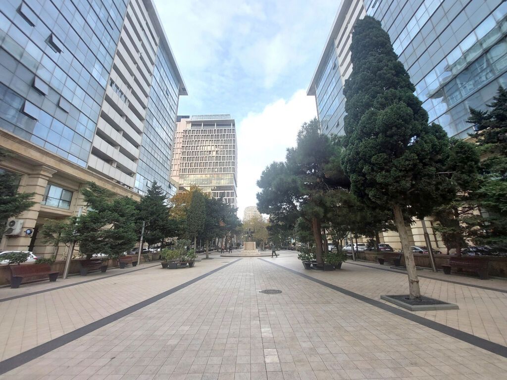 Bakı, 3 otaqlı, Köhnə tikili, 110 kv. m — Daşınmaz əmlak, Bakı (3)