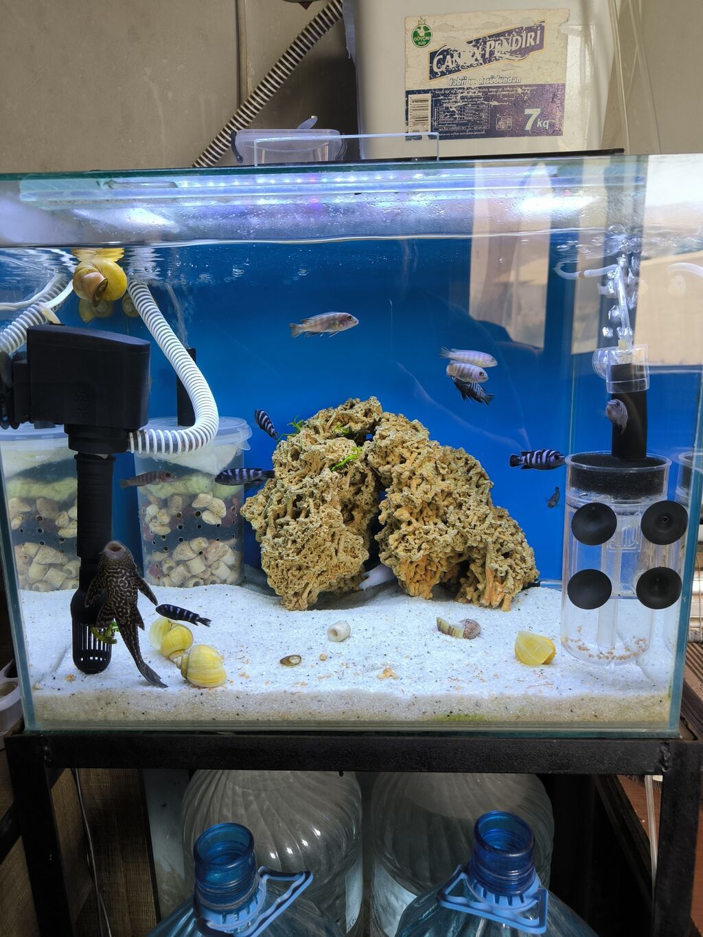 Akvarium Ölçüsü 50/40/40 Daxili Motoru Hava Motoru Pipo filtiri — Heyvanlar, Bakı