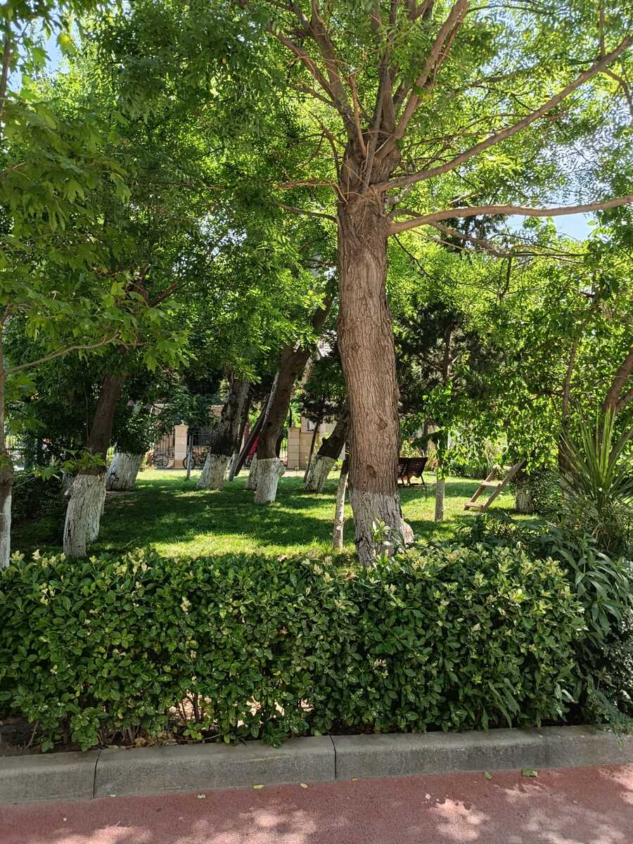 Satılır 3 otaqlı yeni tikili 127.8 m² — Mənzil, Bakı (6)