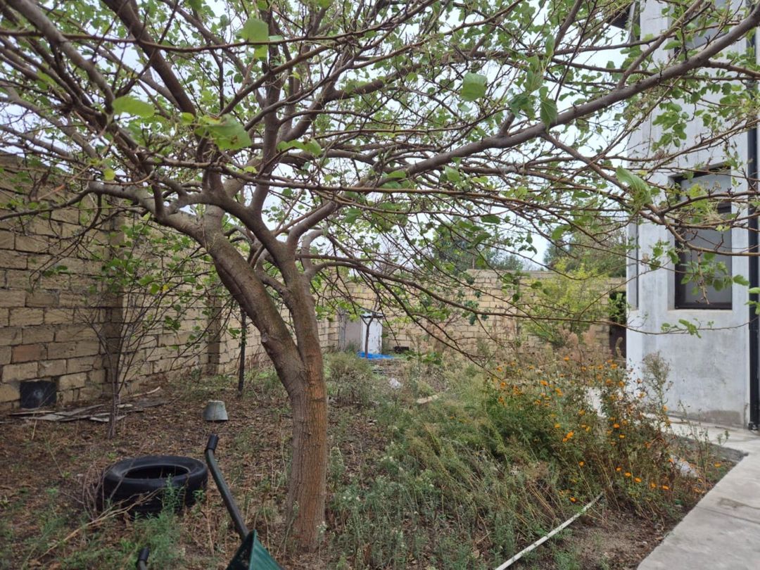 Satılır 4 otaqlı həyət evi/bağ evi 200 m² — Ev, villa, Bakı (6)