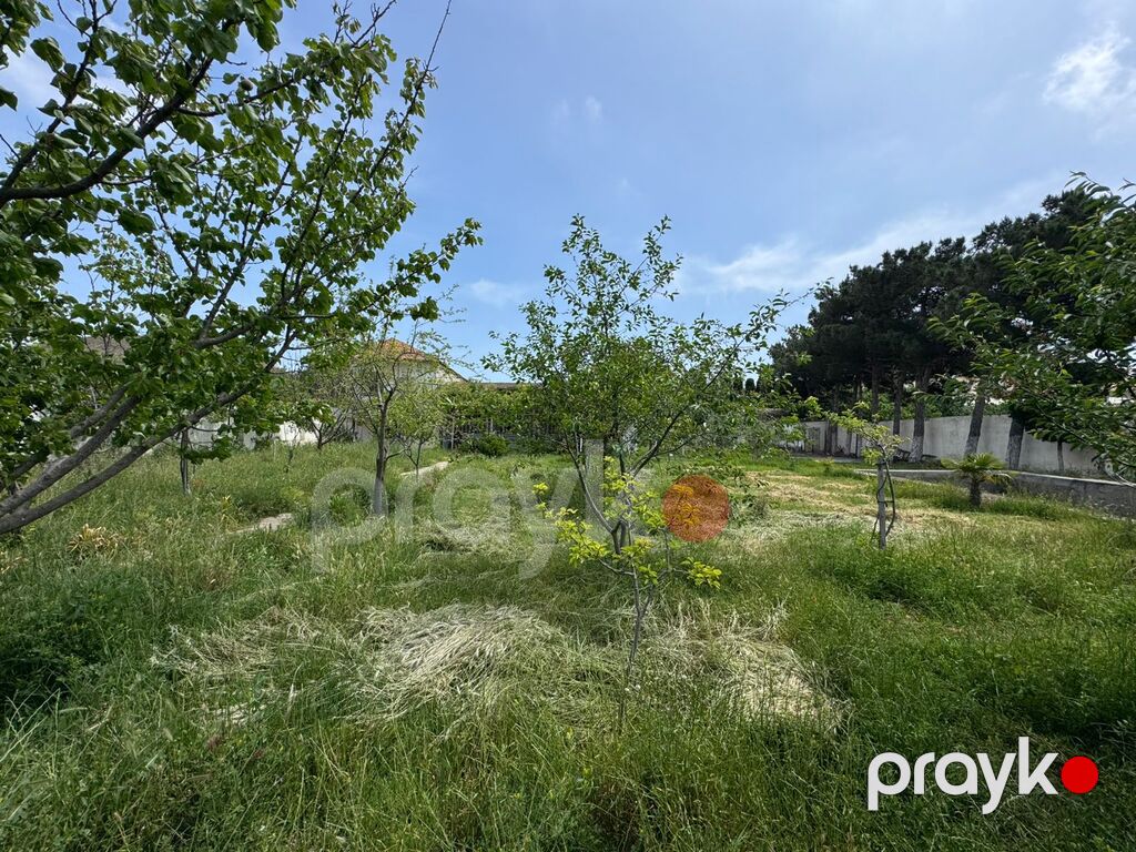 Satılır torpaq 22 sot — Torpaq, Bakı (9)